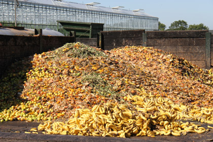 © Green Energy UK | Fruit and Vegetable Pile