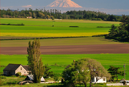 A Community of Collaboration: Whidbey Island & Sustainable Agriculture