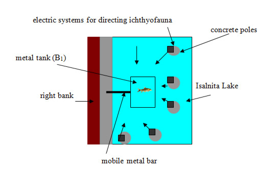 Image Courtesy of Razvan Voicu | Figure 3. Positioning the systems for directing the ichthyofauna