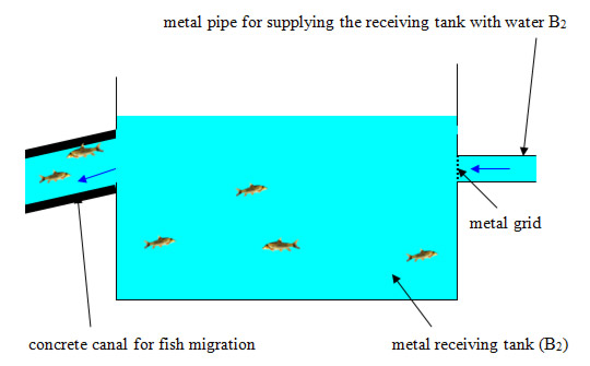 Image Courtesy of Razvan Voicu | Figure 8b. Positioning concrete canal for ichthyofauna migration – indicative scheme