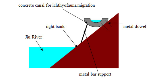 Image Courtesy of Razvan Voicu | Figure 10. Fixing concrete canal for ichthyofauna migration to bank downstream Isalnita Dam – indicative scheme