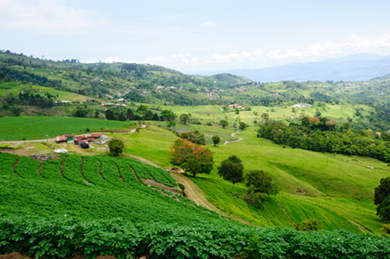 © iStockphoto.com/OGphoto | Farms and pastures in Costa Rica.