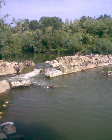 Photo Courtesy of Razvan Voicu | Ialomiţa River at the confluence with Prahova River, near Dridu Village, downstream Dridu Lake.