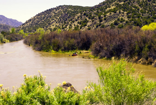 USACE Albuquerque District Returning Rivers to Their Natural Path