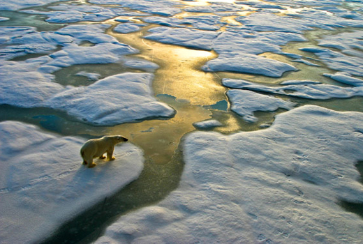 The Changing Arctic: New Challenges & Opportunities