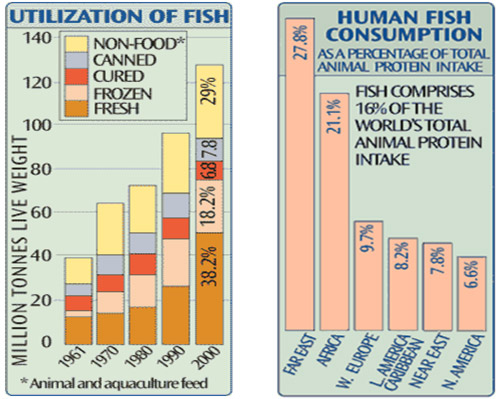 UN FAO: State of the World Fisheries and Aquaculture 2002, www.fao.org/fi/default.asp