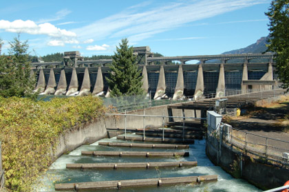 © iStockphoto.com/JerryPDX|This fish ladder allows salmon to swim upstream through the Bonneville Dam on the Columbia River in Oregon.