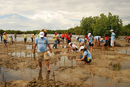 Photo Credit: Jessie F. Delos Reyes USAID is backing a mangrove planting activity as part of a climate change Adaptation Strategy in the Philippines.