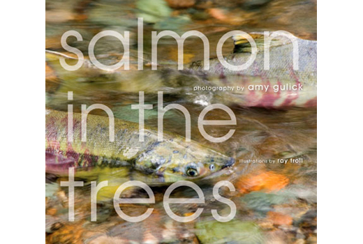 Salmon in the trees